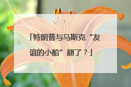 特朗普与马斯克“友谊的小船”翻了？